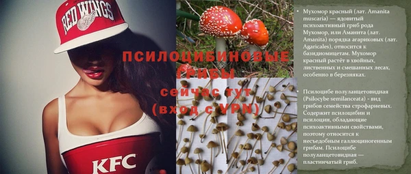 сатива Алексеевка