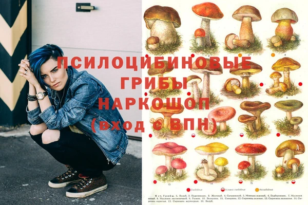 мет Алексин