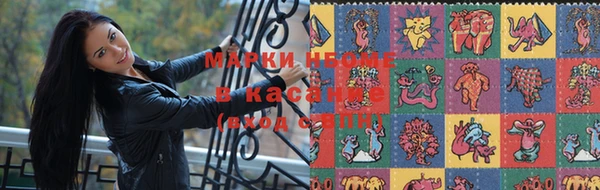 сатива Алексеевка