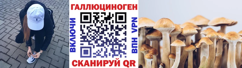 Галлюциногенные грибы ЛСД  где продают наркотики  Котовск 